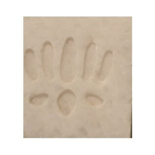 Medallion Tiles Pattern 2 Natural Stone - Perfect Ceramic - 076