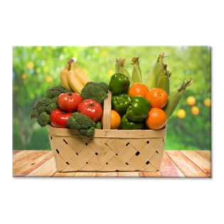 Tactile Dekor - Crystal Vitrified Kitchen Tiles - 1013