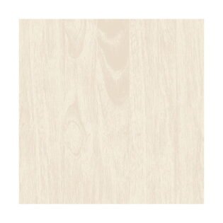 JET GRANITO - Nano Vitrified Tiles - 1017 - 600 x 600 mm