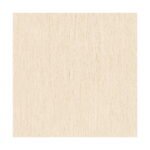 JET GRANITO - Nano Vitrified Tiles - 1022 - 600 x 600 mm