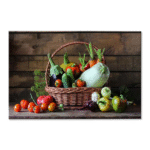 Tactile Dekor - Crystal Vitrified Kitchen Tiles - 1022