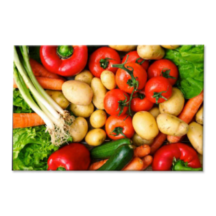 Tactile Dekor - Crystal Vitrified Kitchen Tiles - 1023