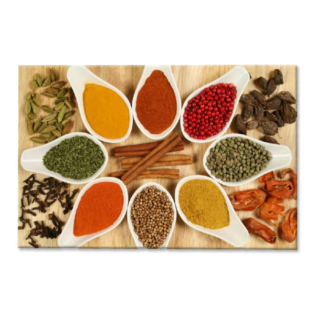 Tactile Dekor - Crystal Vitrified Kitchen Tiles - 1024