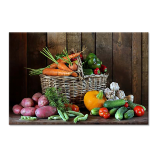 Tactile Dekor - Crystal Vitrified Kitchen Tiles - 1038