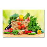 Tactile Dekor - Crystal Vitrified Kitchen Tiles - 1049