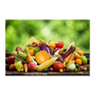 Tactile Dekor - Crystal Vitrified Kitchen Tiles - 1054