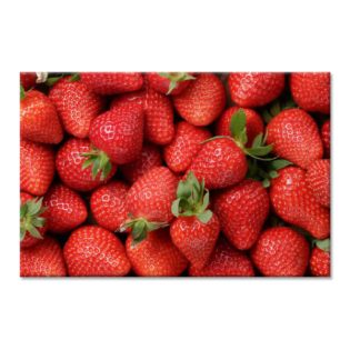 Tactile Dekor- Crystal Vitrified Kitchen Tiles - 1074