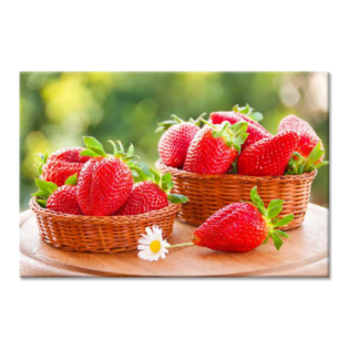 Tactile Dekor - Crystal Vitrified Kitchen Tiles - 1078