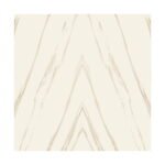 JET GRANITO - Nano Vitrified Tiles - 1084 - 600 x 600 mm