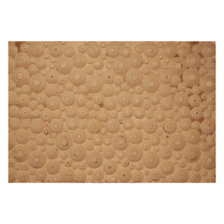 Circular Pattern Birch Ply - Perfect Ceramic - 114