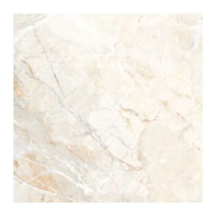 NARMADA - Vitrified Tiles - Glossy - 1147 - 600 x 600 mm
