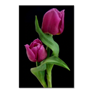 TACTILE DECOR - Crystal Vitrified Poster Tiles - 1pc. - 2017