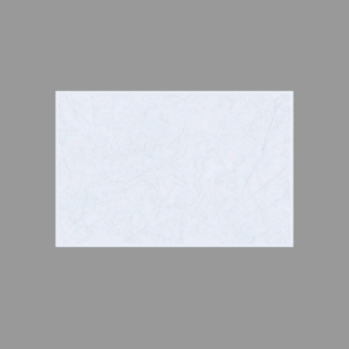 Platinum Ceramic - Glossy Series - 21185L - Random Pattern