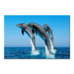 TACTILE DECOR - Crystal Vitrified Poster Tiles - 1pc. - 2201