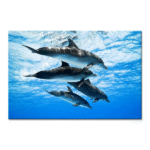 TACTILE DECOR - Crystal Vitrified Poster Tiles - 1pc. - 2202