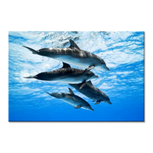 TACTILE DECOR - Crystal Vitrified Poster Tiles - 1pc. - 2202