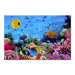 TACTILE DECOR - Crystal Vitrified Poster Tiles - 1pc. - 2204