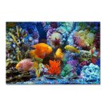 TACTILE DECOR - Crystal Vitrified Poster Tiles - 1pc. - 2205