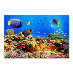 TACTILE DECOR - Crystal Vitrified Poster Tiles - 1pc. - 2206