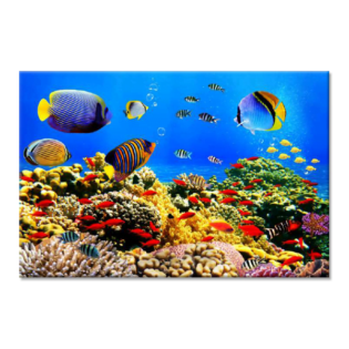 TACTILE DECOR - Crystal Vitrified Poster Tiles - 1pc. - 2206