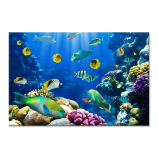 TACTILE DECOR - Crystal Vitrified Poster Tiles - 1pc. - 2209