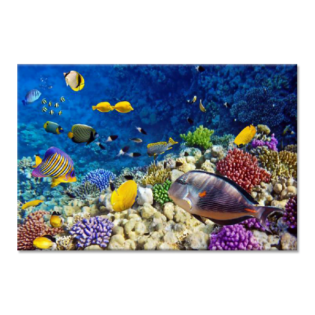 TACTILE DECOR - Crystal Vitrified Poster Tiles - 1pc. - 2210