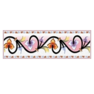 Drashti Ceramic - Digital Border Tiles - 250 x 75 mm - 3008