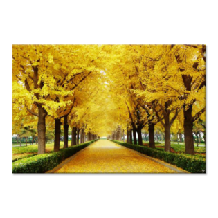 Tactile Dekor - Crystal Vitrified Nature Tiles - 3043