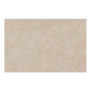 SEGA - Digital Wall Tiles - Glossy - 51238-D - 300 x 450 mm