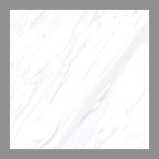 NARMADA - Vitrified Tiles - Glossy - 6066 - 600 x 600 mm