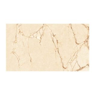 NARMADA - Designer Tiles - Glossy - 6339 - 600 x 1200 mm