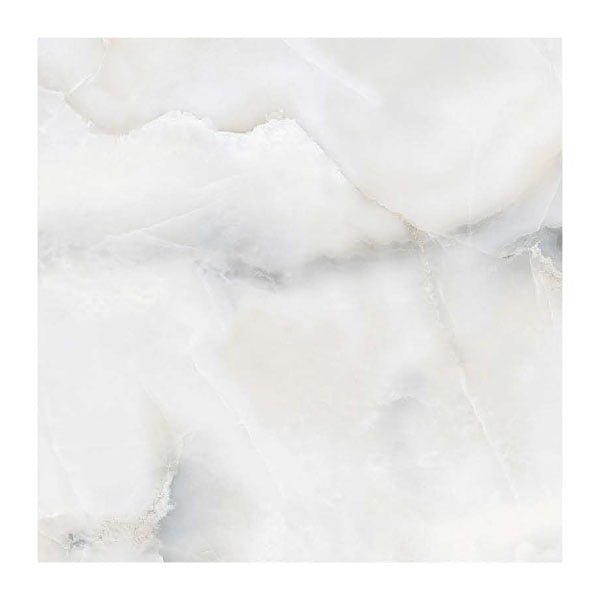 NARMADA - Vitrified Tiles - Glossy - 6505 - 600 x 600 mm