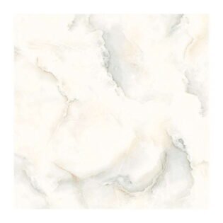 NARMADA - Vitrified Tiles - Glossy - 6509 - 600 x 600 mm