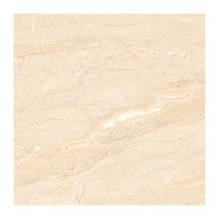 NARMADA - Vitrified Tiles - Glossy - 6510 - 600 x 600 mm