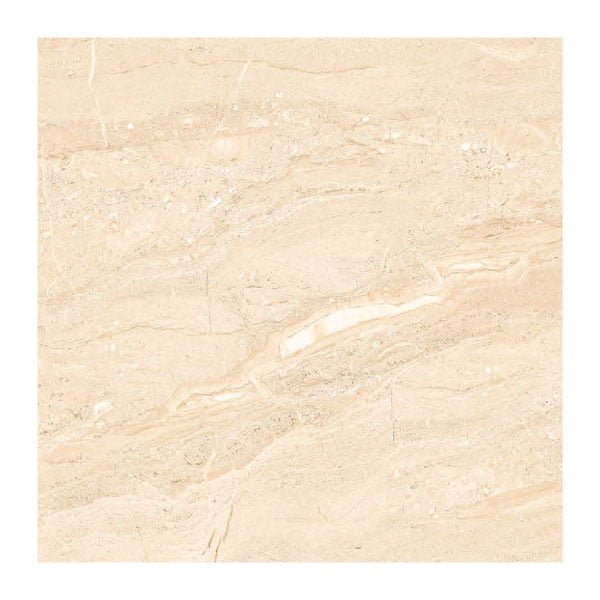NARMADA - Vitrified Tiles - Glossy - 6510 - 600 x 600 mm