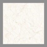 NARMADA - Vitrified Tiles - Glossy - 6513 - 600 x 600 mm
