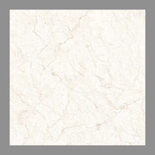 NARMADA - Vitrified Tiles - Glossy - 6513 - 600 x 600 mm