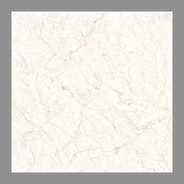 NARMADA - Vitrified Tiles - Glossy - 6513 - 600 x 600 mm