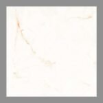 NARMADA - Vitrified Tiles - Glossy - 6520 - 600 x 600 mm