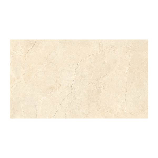 NARMADA - Designer Tiles - Glossy - 6550 - 600 x 1200 mm