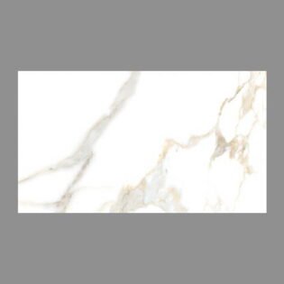 NARMADA - Designer Tiles - Glossy - 6560 - 600 x 1200 mm