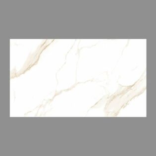 NARMADA - Designer Tiles - Glossy - 6579 - 600 x 1200 mm