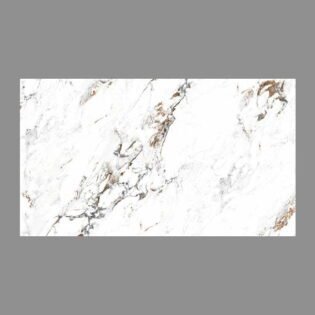 NARMADA - Designer Tiles - Glossy - 6580 - 600 x 1200 mm