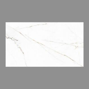 NARMADA - Designer Tiles - Glossy - 6581 - 600 x 1200 mm