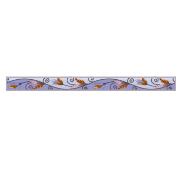 Drashti Ceramic - Digital Border Tiles - 600 x 75 mm - 707