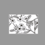 Platinum Ceramic - Raindrop Series - 8100HL1