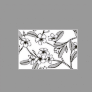 Platinum Ceramic - Raindrop Series - 8100HL1