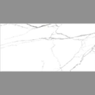NARMADA - High Gloss - Ajex Statuario - 600 x 1200 mm