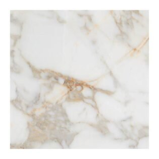 NARMADA - High Glossy - Alex Calacatta - 1200 x 1200 mm