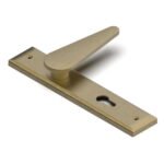 Italica - Mortise Handle - AM Plate and Rose